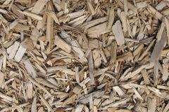 biomass boilers Spath